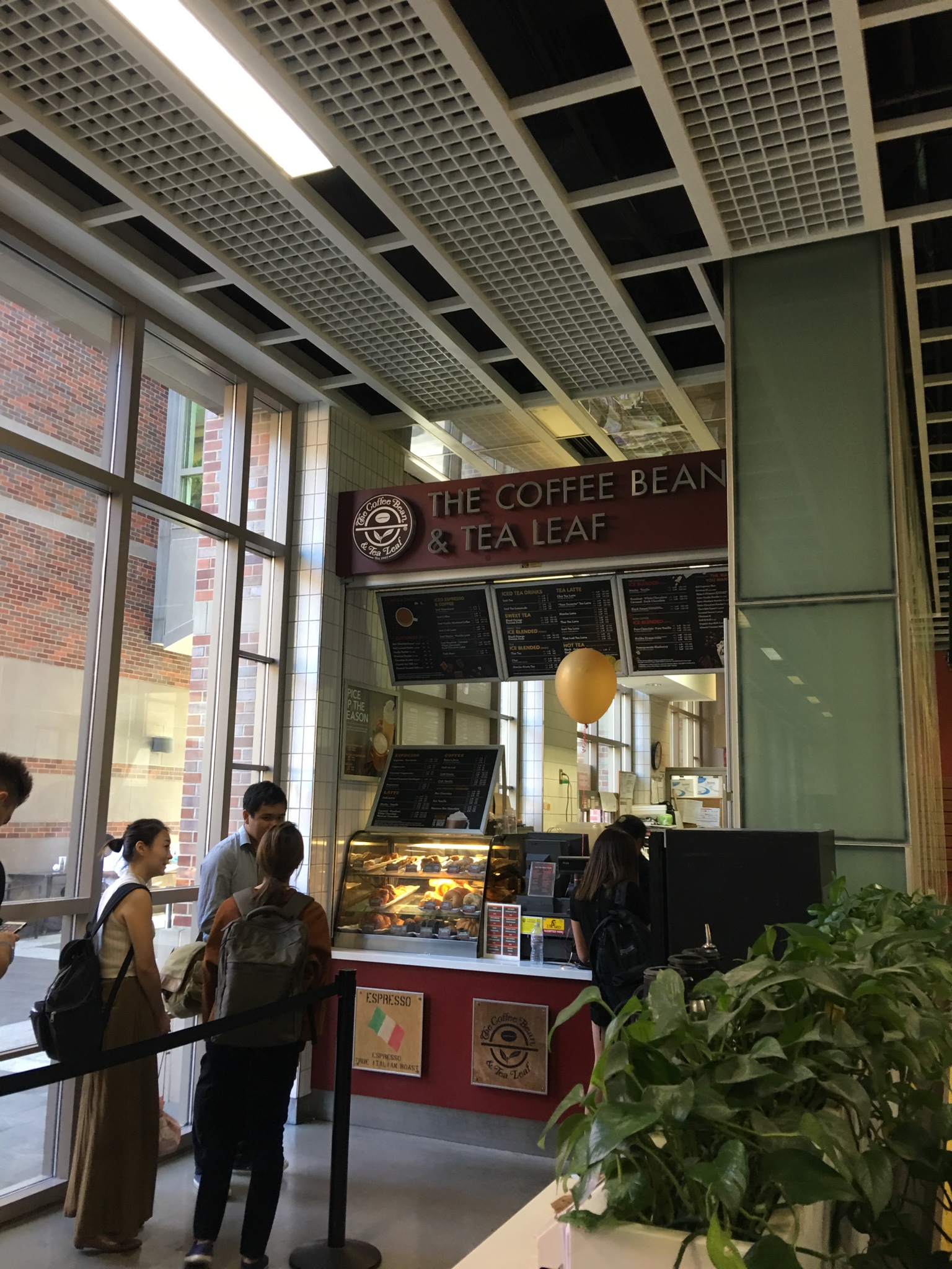 The Coffee Bean & Tea Leaf photo 2