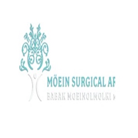 Moein Surgical Arts photo 3