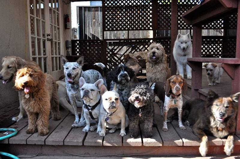 The Wags Club photo 3