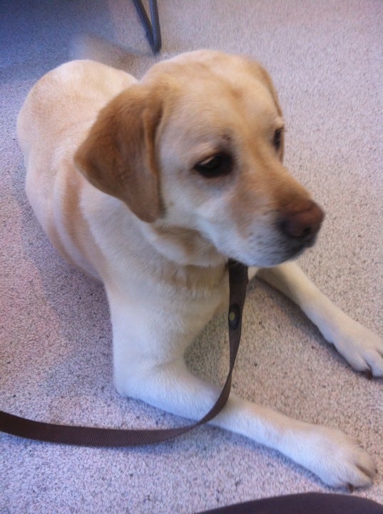 Rancho Park Veterinary Clinic photo 2