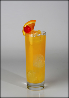 Hanuman Thai Cuisine-San Jose photo 4